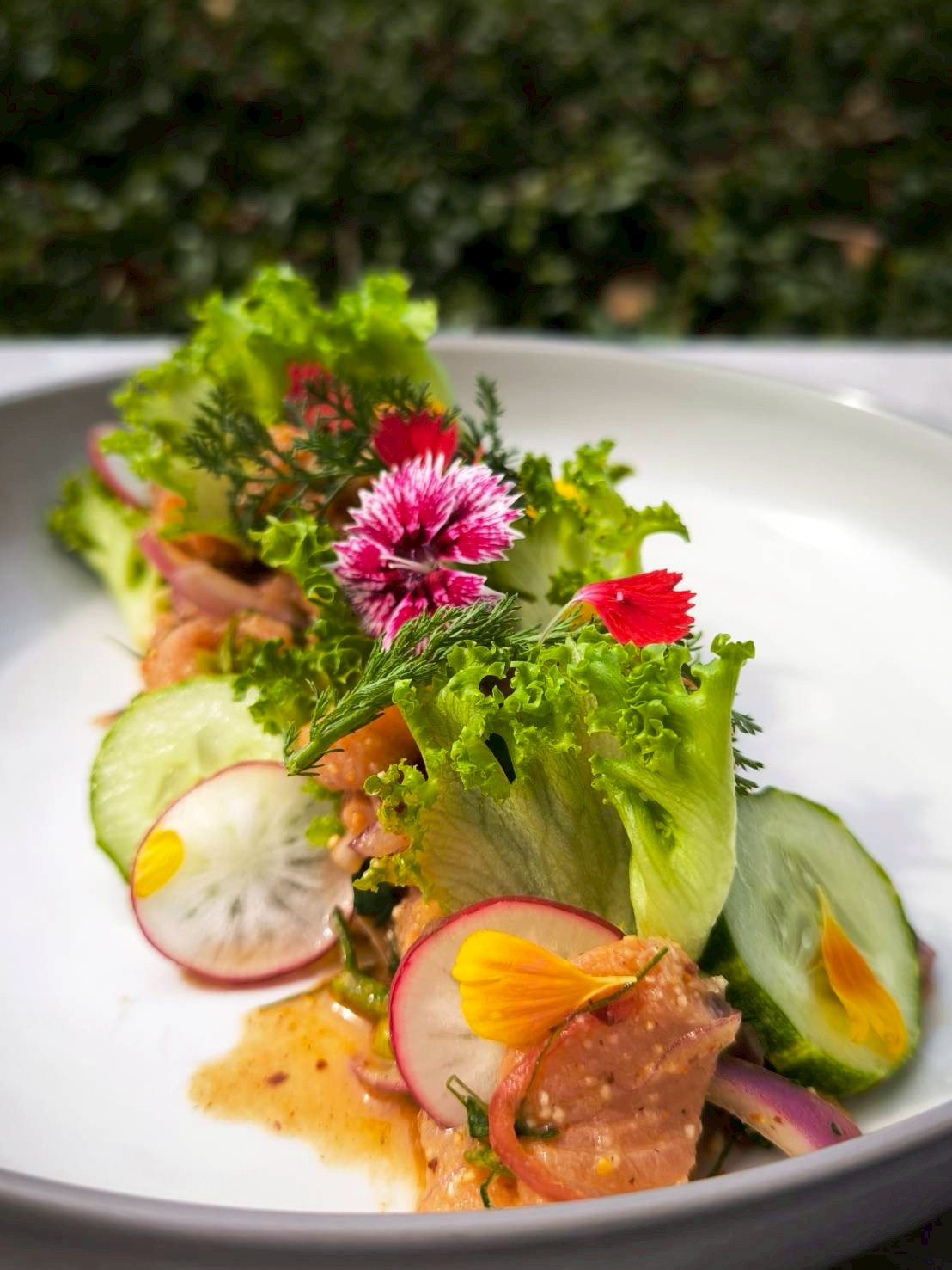 Fresh Salmon Salad (Larb Pla Salmon )